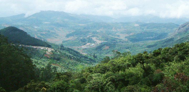 Dandoba Hills Forest